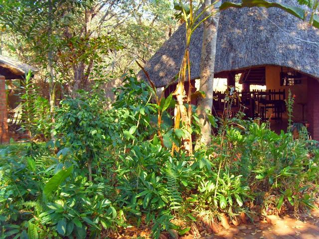 Mosi-Ua-Tunya Lodge Victoria Falls Exterior photo